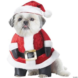 Santa Paws Dog Costume