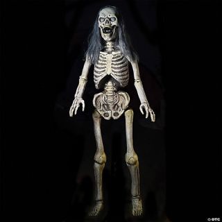 Hairy Scary Skeleton Prop