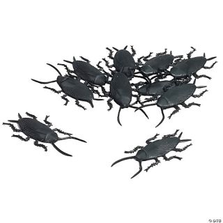 Cockroaches - Pack of 10
