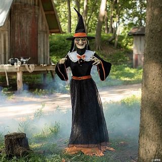 Animated Whimsical Witch
