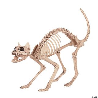 Skeleton Kitty Bonez