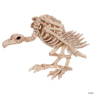 Skeleton Vulture