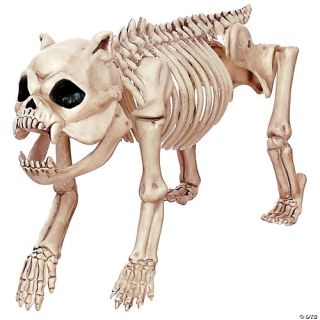 Skeleton Bones The Dog Prop