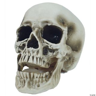 7" Vinyl Skull