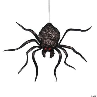Hanging Shaking Spider