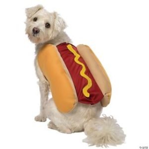 A dog dressed up in one of the best funny dog costumes - a hotdog outfit.